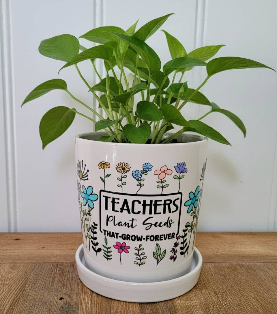 Teacher- Pot & Saucer Planter